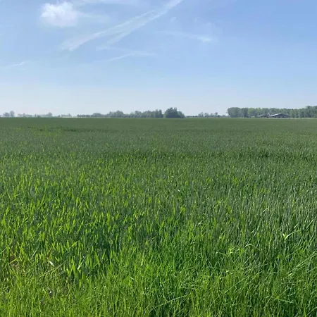 Near Apartment Nieuwpoort